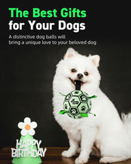 QDAN Neon strap ball with nylon seams for easy fetch and retrieval.