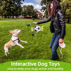 QDAN outdoor play scene depicting versatile fetch and tug play.