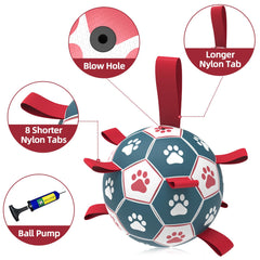 QDAN large dog ball suitable for pool lake and beach fun