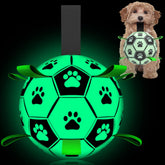 QDAN premium dog ball glowing in dark for safe nighttime play