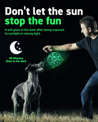 QDAN dog ball with nylon straps for easy fetch and erratic bounce