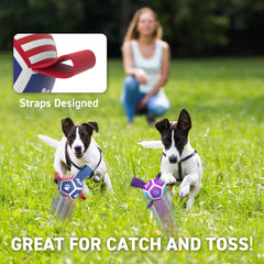 qdan puppy ball training bonding through interactive play