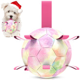 QDAN Rainbow Dog Balls close-up for interactive play.