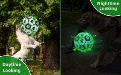 QDAN dog ball nylon tabs bounce for erratic fetch
