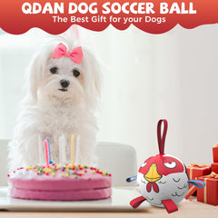 QDAN dog ball with nylon tabs erratic bounce boosts interactive training sessions