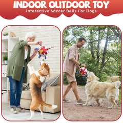 QDAN Chicken Dog Ball Toy floats on water for splash-ready play.