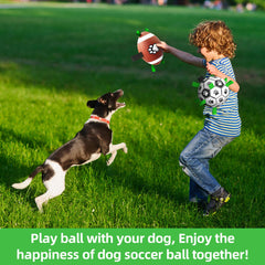 QDAN tug-friendly dog ball set in action for tug-of-war play