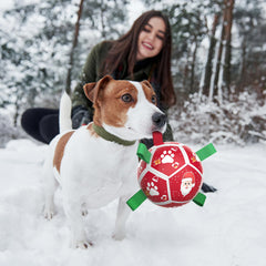 QDAN Santa-themed ball highlights festive design for holiday fetch and bonding