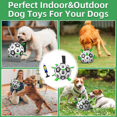 QDAN multi-pack image displays twin balls ready for households with multiple dogs.