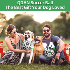 QDAN dog soccer ball 8inch close-up with grab straps for easy fetch.