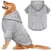 QDYU dog sweater grey XL worn during chilly outdoor walks for warmth