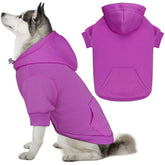 QDYU dog sweater purple XL on a dog for warm, stylish outdoor wear.