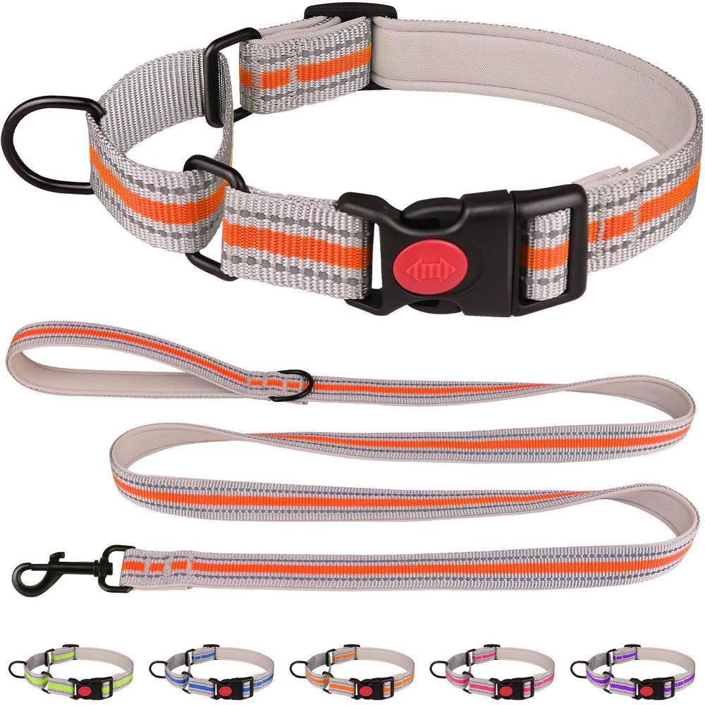 QDYU Martingale collar with padded-neoprene close-up showing walk-time comfort.