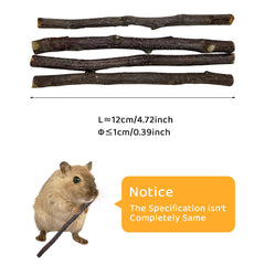 QHZHANG Apple Sticks teeth-gnawing action illustrates natural dental wear for rodents.