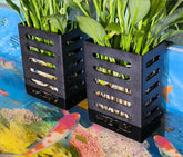 QICIKRASE 2PCS hanging aquarium planter cups black offer easy tank decoration and plant display.