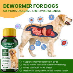 QIFEISHANKA lvermect dosing syringe shows precise at-home administration for dogs.