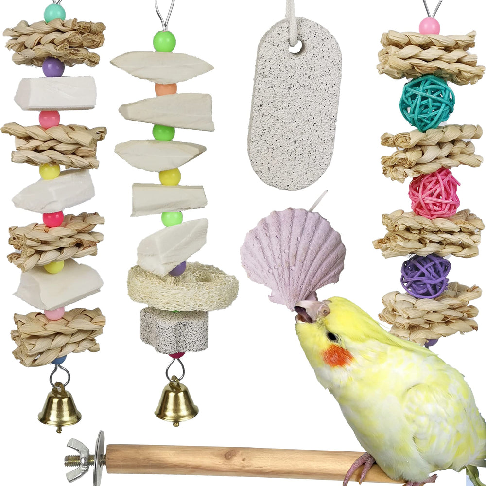 Qimilenzy parrot-toy cuttlebone for natural beak trimming and safe chewing.