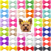 QingHan dog hair bows 2 inch close-up showing secure alligator clips for daily wear.