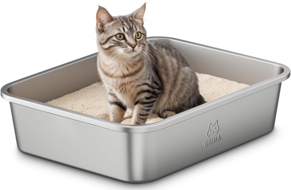 Qiuma stainless steel cat litter box front view, compact for small spaces and easy cleaning