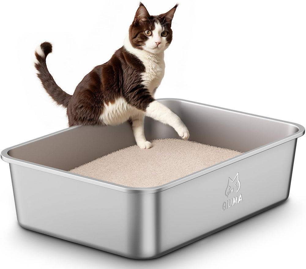 Qiuma stainless-steel litter box large top view, spacious interior for multi-cat households