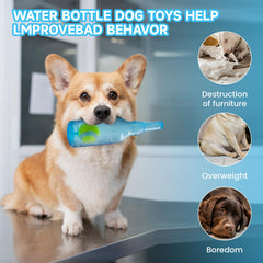 Qiuruoo Water Bottle Dog Toy's wine-bottle design sparks curiosity
