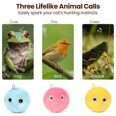 QKOQKO Chirping Cat Toy Sound Closeup shows lifelike chirps during play.