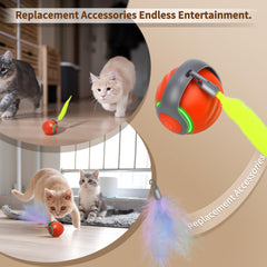 QKOQKO USB-rechargeable cat toy demonstrates convenient charging for uninterrupted play