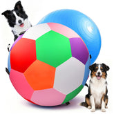 Qlfyuu Herding Ball action shot promotes active play and focus during outdoor games.