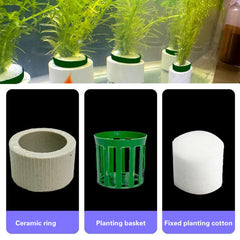 QoTang aquarium sponge wrap emphasizes ease of use and quick plant setup.