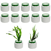 QoTang plant fixing ring close-up demonstrates durable ceramic construction for stable rooted plants.