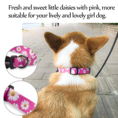 QQPETS small daisy pattern collar helps easily spot your puppy outdoors