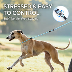 QQPETS, longitud ajustable de 1,2 a 2,1 m, perfecta para perros de distintos tamaños.
