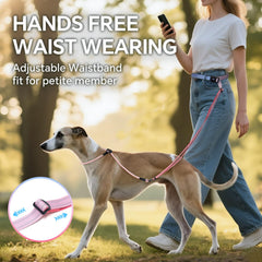 QQPETS-slip-lead-collar-in-one shows convenient dual-function for training and control.