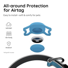 QRTAGLAB collar with reflective strips enhances nighttime visibility for safer walks