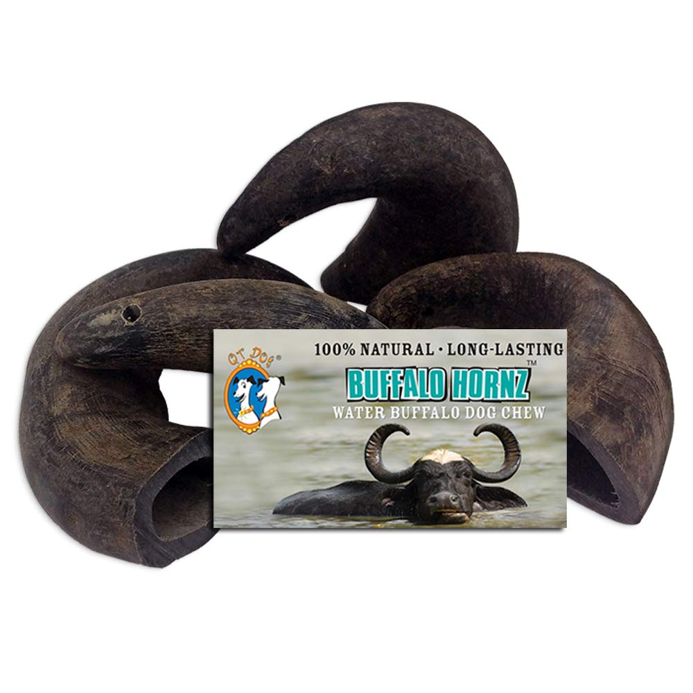 QT Dog buffalo horn chew slab demonstrates natural chewing satisfaction for small-breed dogs