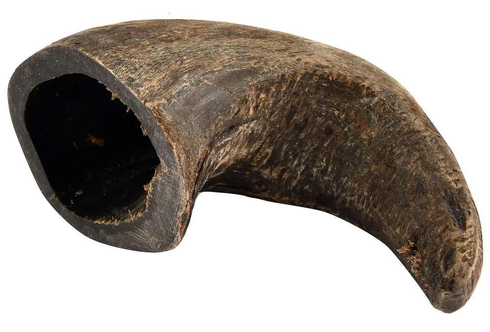 QT Dog Buffalo Hornz water buffalo horn dog treat, natural protein chew for durable dental wear
