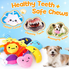 QTwoof weather-toy-raindrops offers soft chew surfaces for engaging play.