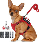 QUDLIMO service dog vest red on small dog during walk for comfort and visibility