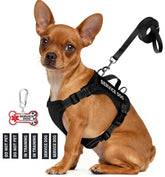 QUDLIMO service dog vest small-breed strap offers lightweight comfort.