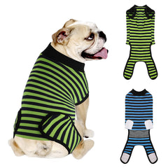 QUEARN dog recovery suit 2-pack front view supports comfortable post-surgery mobility.