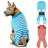QUEARN dog recovery suit front view highlighting breathable cotton comfort for post-surgery healing