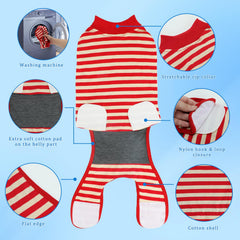 QUEARN recovery suit side view demonstrates flexible fit for active dogs