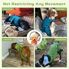 QUEARN recovery suit green stripes back view demonstrates slip-resistant fabric and secure fit