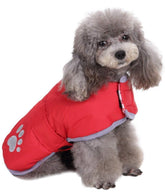 Queenmore cold-weather coat front view for cozy warmth on chilly walks.