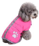 Queenmore cold-weather dog coat loft shot emphasizes warmth and durable outer material for chilly walks.