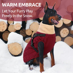 Queenmore dog coat back zipper enables easy on-off dressing.