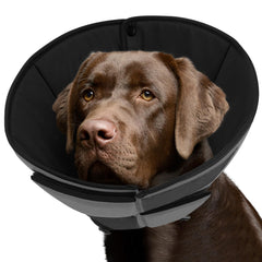 Queenmore dog cone soft fabric for gentle recovery support.