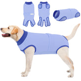 Queenmore dog recovery suit full wrap in rose red protects wounds while keeping pets comfortable.