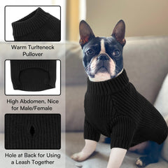 Queenmore easy-pullover dog sweater designed for quick dressing.