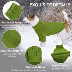 Queenmore dog sweater green on dog walking demonstrates lightweight warmth for winter outings